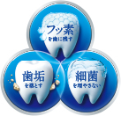 フッ素を歯に残す 細菌を増やさない 歯垢を落とす