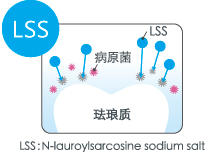 LSS:N-lauroylsarcosine sodium salt