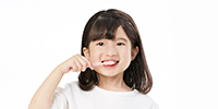 采用软而有弹性的牙刷柄，便于有效清除牙垢。