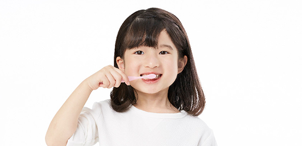 采用软而有弹性的牙刷柄，便于有效清除牙垢。