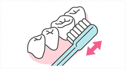 歯の基本の磨き方