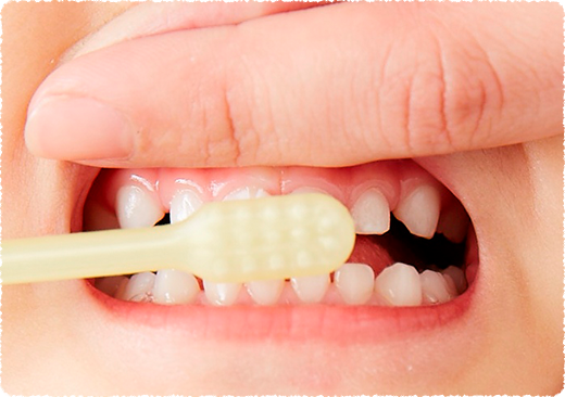 上の前歯の磨き方