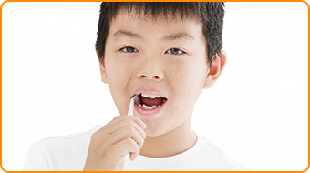 奥歯も磨きやすいから、正しい歯磨き習慣をしっかりサポート！