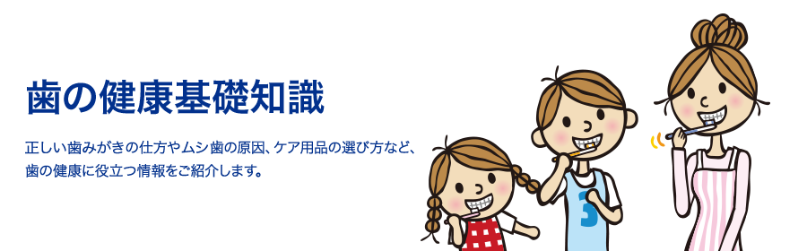 歯の健康基礎知識 正しい歯みがきの仕方やムシ歯の原因、ケア用品の選び方など、歯の健康に役立つ情報をご紹介します。