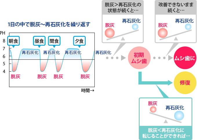 1日の中で脱灰～再石灰化を繰り返す イメージ図